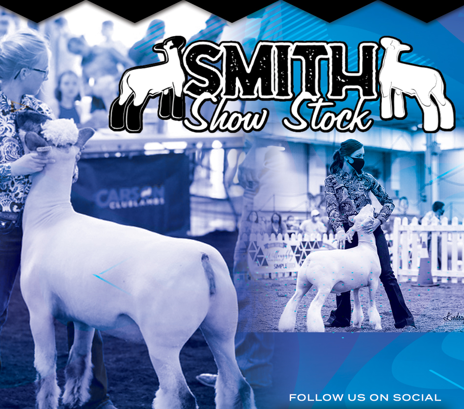 Smith Show Stock